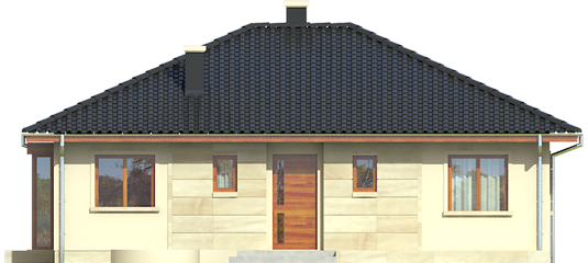 elevations 1